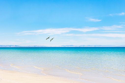 Playa Tecolote, a crystal clear water beach located in Baja California Sur.