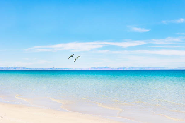 Tecolote Beach, Baja California Sur. Playa Tecolote, a crystal clear water beach located in Baja California Sur. baja california sur stock pictures, royalty-free photos & images