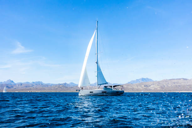Boat in Magdalena Bay, Baja California Sur. stock photo