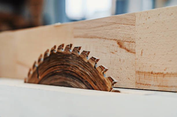 lama della macchina per il taglio del legno. sega circolare. bar in legno in un laboratorio di falegnameria. industria della lavorazione del legno. - circle blade wood dust foto e immagini stock