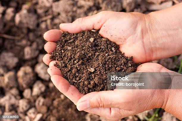 토양 손 개념에 대한 스톡 사진 및 기타 이미지 - 개념, 개념과 주제, 농업