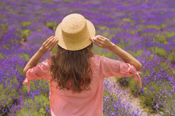 junge schöne romantische frau mit hut aufenthalt auf feld von lila lavendel blumen. weicher selektiver fokus - lupine single flower flower blue stock-fotos und bilder