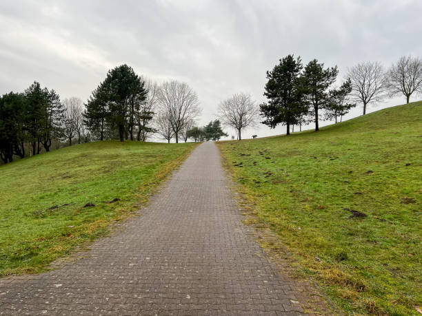 istock A path next to a forest and a meadow in winter in rainy weather. 1372371244