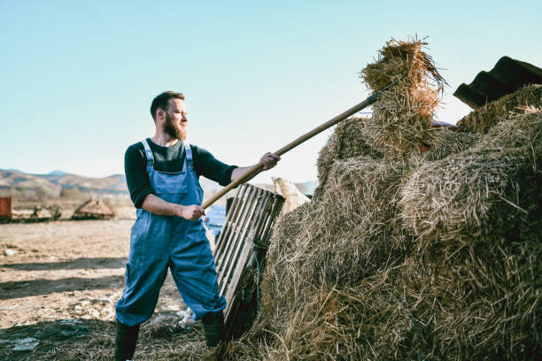 Man in field