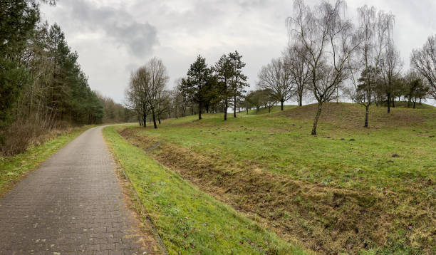 istock A path next to a forest and a meadow in winter in rainy weather. 1372372692