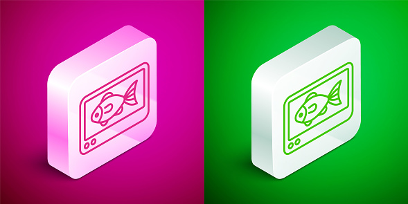 Isometric line Fish finder echo sounder icon isolated on pink and green background. Electronic equipment for fishing. Silver square button. Vector.