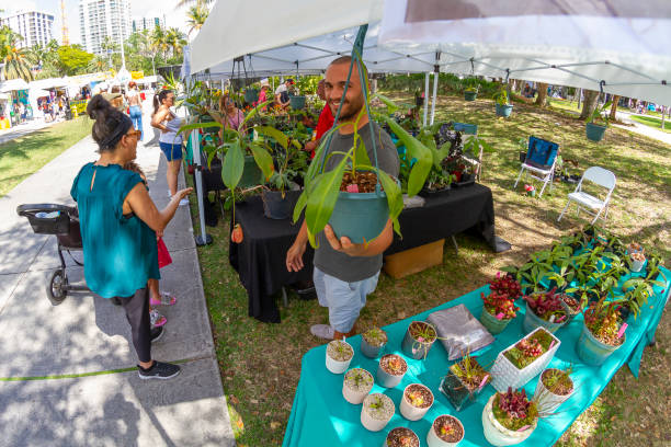 coconut grove art festival, miami, florida, stati uniti d'america usa - art basel miami beach immagine foto e immagini stock