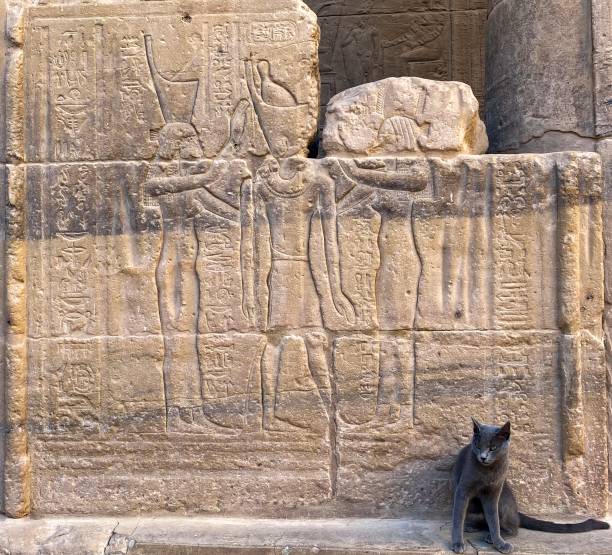 istock Pharaoh Cat in front of Ancient Hieroglyphics Temple 1372378936