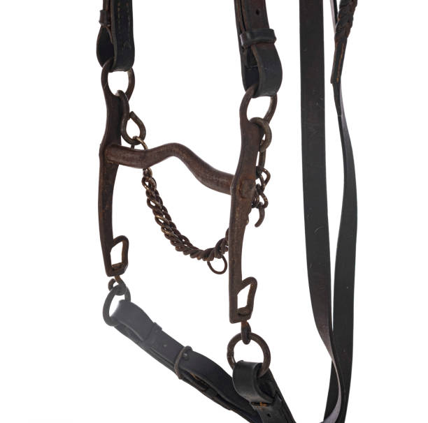 bit en studio - leather harness photos et images de collection