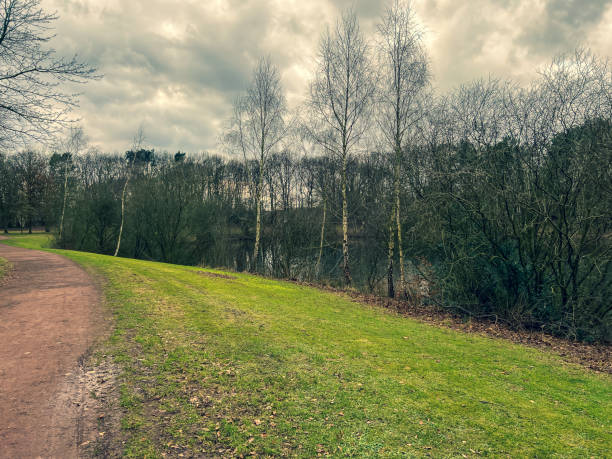 istock A path by a lake with many trees in winter. 1372382542