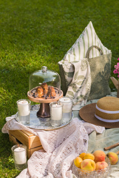 istock Summer picnic in the garden 1372383580