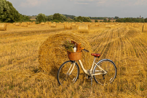 Bicycle standing in a field among harvest of wheat Bicycle with milk, bread, book and flowers standing in a field among harvest of wheat cottagecore stock pictures, royalty-free photos & images