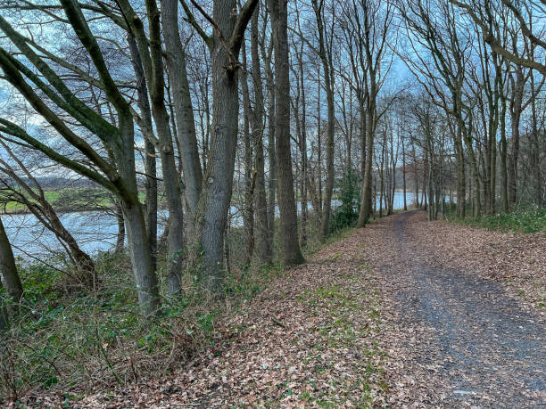istock A forest path next to the river called 