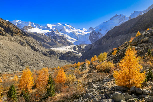 istock Hiking in the Egadin Valley, Switzerland 1372386124