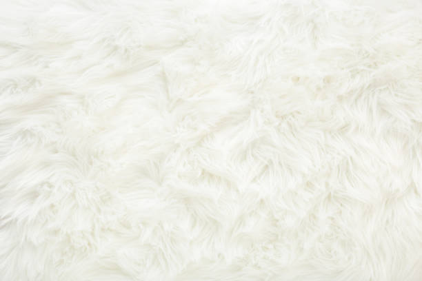 istock Light white furry carpet background. Empty place for text. Closeup. Top down view. 1372389579