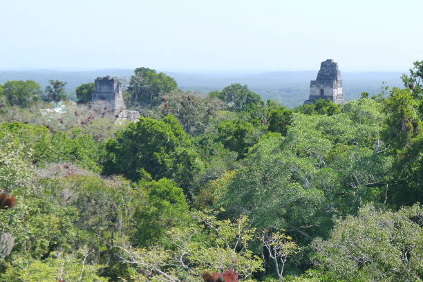 istock Tikal National Park 1372389986