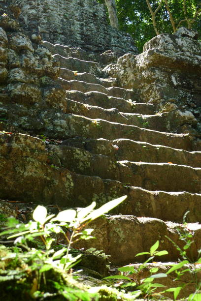 istock Tikal National Park 1372390568