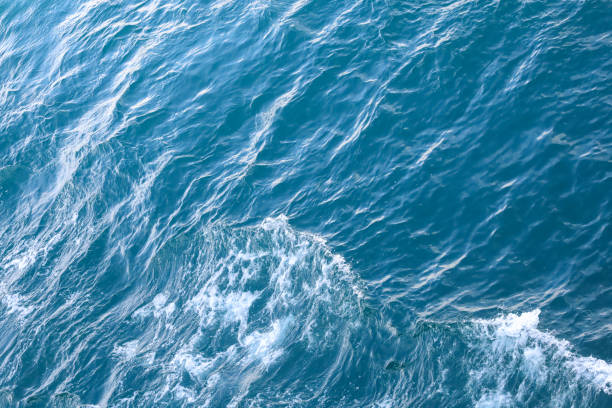istock Water surface. Wake waves and foam on the blue sea water 1372392009