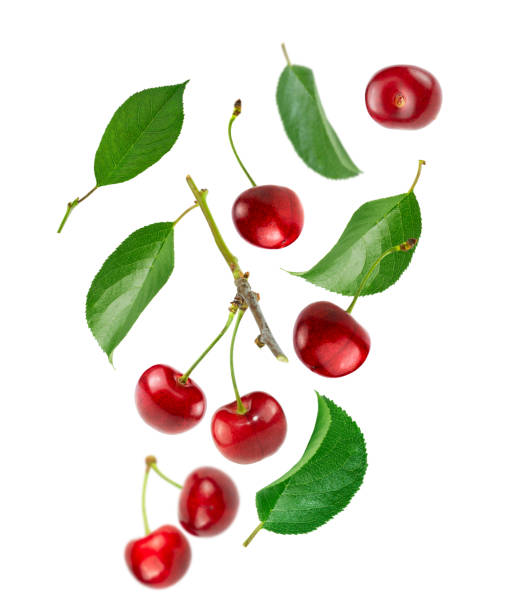 istock Cherry berries and green leaves isolated on white background. 1372398913
