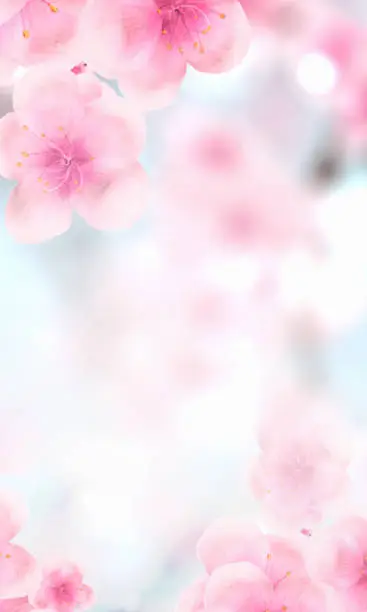 vertical Japanese Spring Sakura cherry blossoms 240x400 size website fat skyscraper banner background. 3D Illustration Clip-Art floral spring petal design header. copy space in pink, white, blue