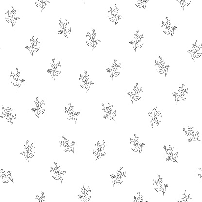 Vector black and white illustration. Floral seamless pattern. Bouquet of wild flowers. Hand drawn flower field. Simple flowers. Flowering heads of field chamomile. Outline drawing.