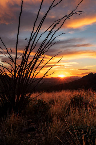 Sunset from Bell Pass trail in Scottsdale az