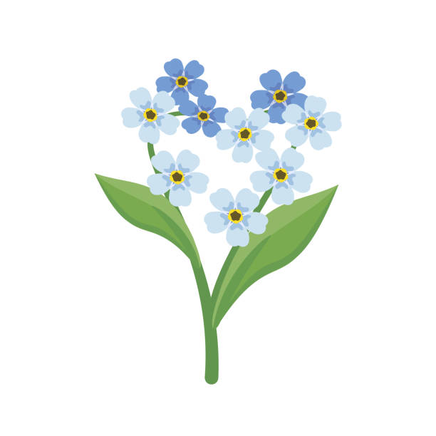 200+ Forget Me Nots Heart Illustrations, Royalty-Free Vector Graphics ...