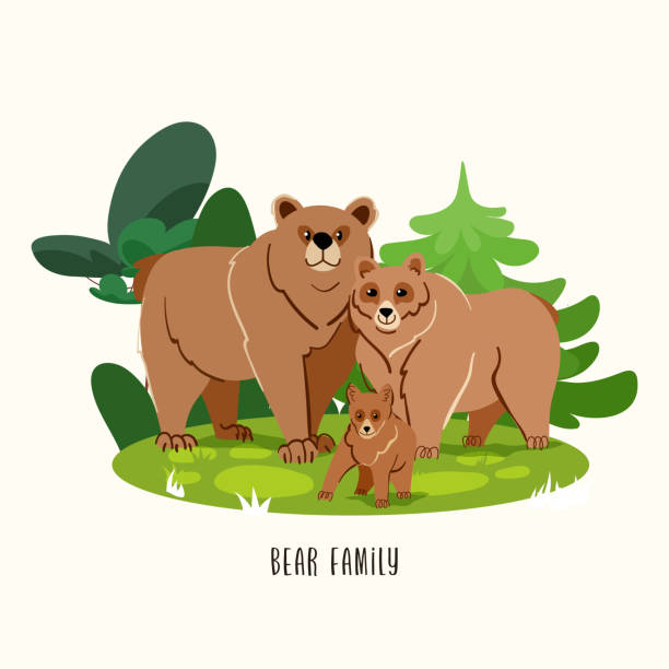 Cute Bear Family Vector Illustration With Forest Tree Isolated On White  Background Animal Cartoon Character Stock Illustration - Download Image Now  - iStock