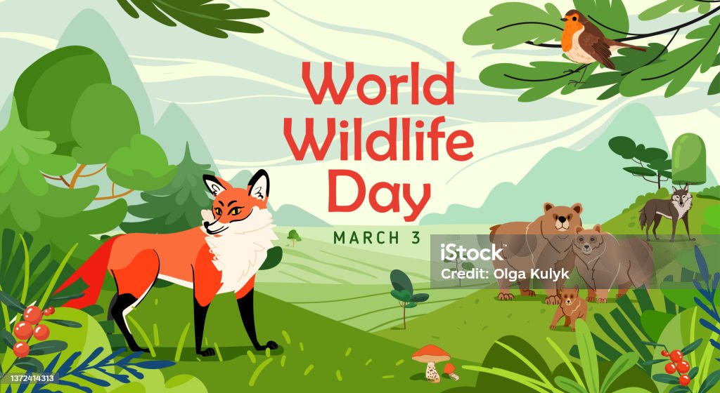 World Wildlife Day Banner With Animal In Forest Fox Bears Wolf And Robin  Bird With Forest Tree And Plant Flat Style Vector Illustration Stock  Illustration - Download Image Now - iStock