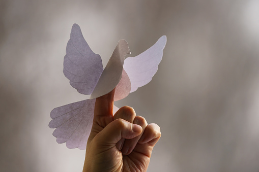 Photography of a paper dove. Human hand. The concept of the peace. Close up photography