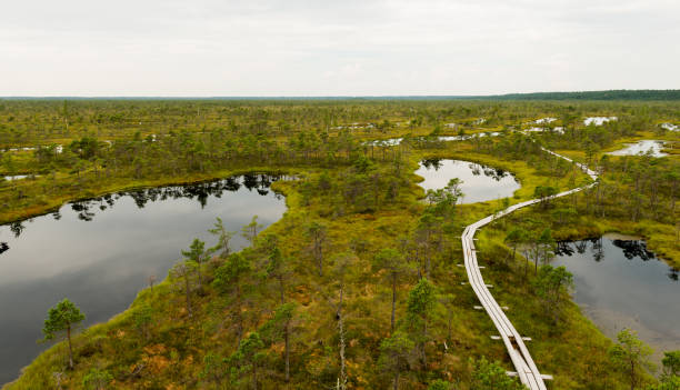 istock Kemeri National Park 1372414452