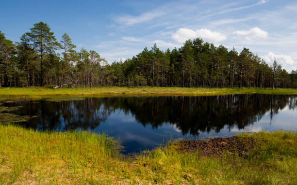 istock Lahemaa National Park 1372414846