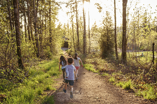 Rear view of a group of elementary age kids running along a dirt path through a forest while hiking with family on a warm and sunny day.