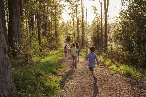 istock Carefree kids running down dirt path in forest 1372416003