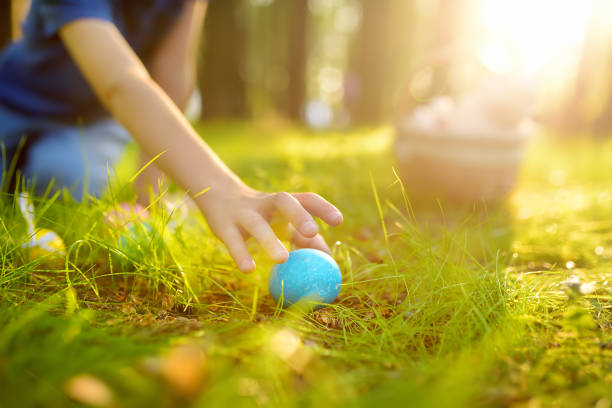 Little boy hunting for egg in spring garden on Easter day. Traditional easter festival outdoors. Focus on multicolor eggs. stock photo