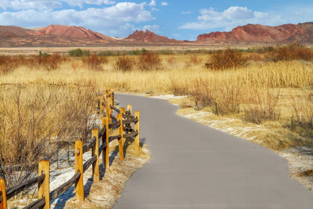 ruta de senderismo pavimentada en duck creek trail cerca de las vegas, nevada - clark county fotografías e imágenes de stock