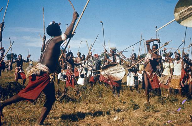 warrior dance of a zulus tribe - zulu african descent africa dancing imagens e fotografias de stock