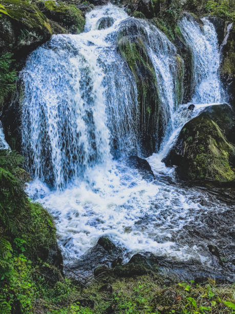 istock The waterfalls in the Black Forest. 1372422605