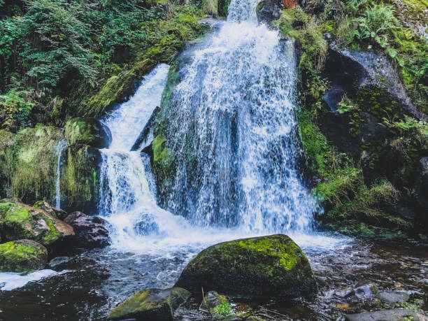 istock A small stony river with waterfalls in the Black Forest. 1372425008