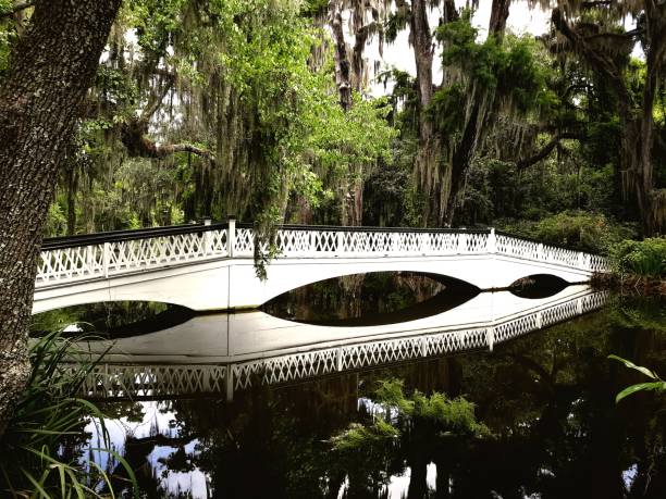 istock Magnolia Plantation 1372429314