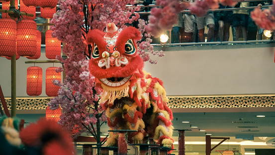 Lion dance during Chinese New Year celebration