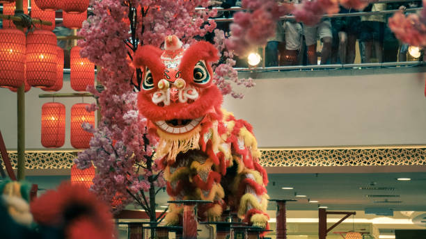 Lion dance during Chinese New Year celebration stock photo