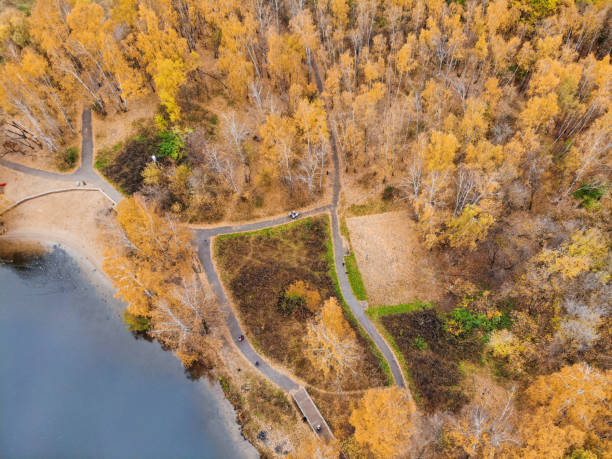 Drone view of autumn park. Stogino,Moscow.