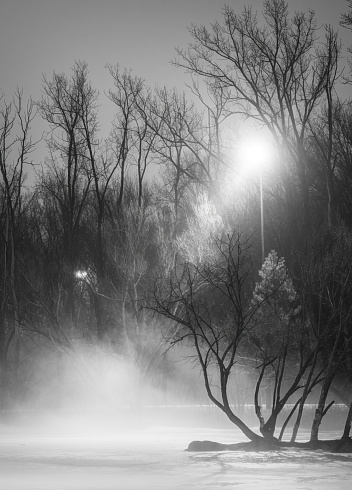 Malden Park is a public park in Windsor, Ontario, Canada.   This is a scene of fog during a winter night.
