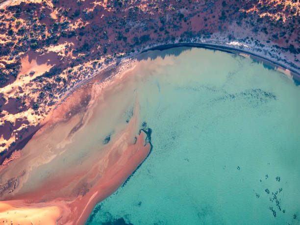 istock Aerial view of water and sand patterns 1372442964