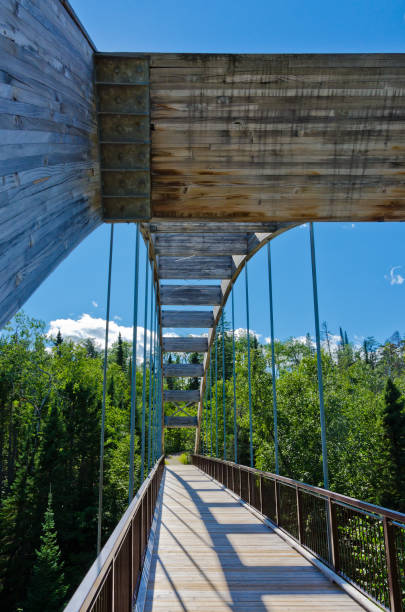 Curved wooden bridge
