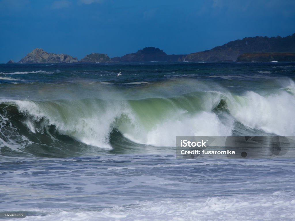 Breaking wave over sandy beach at Bodega bay California. Bodega Bay Stock Photo