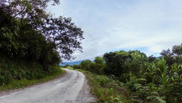 istock Countryside road through tropical nature 1372461377