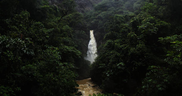 istock Scenic view of waterfall in rainforest 1372462148