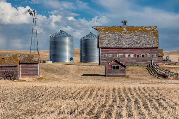 istock Abandoned buildings on the prairies in Saskatchewan, Canada 1372465186